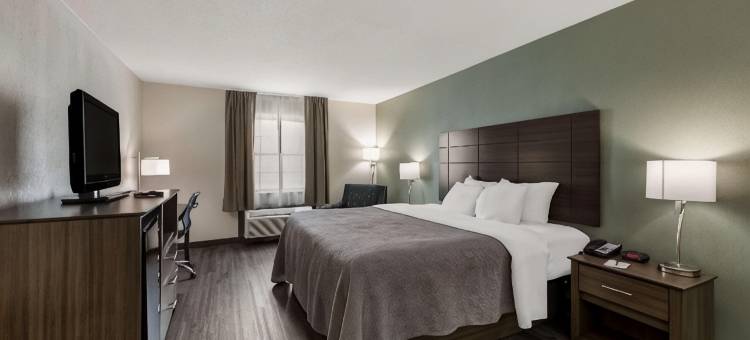 品质酒店机场(Quality Inn Airport)图片