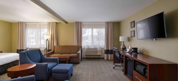 吉拉国家森林公园附近舒适酒店(Comfort Inn Near Gila National Forest)图片