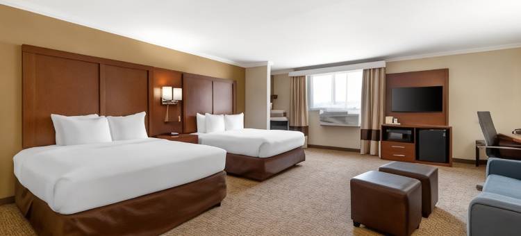 舒适套房酒店(Comfort Suites)图片