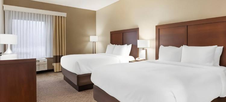 舒适酒店及套房(Comfort Inn & Suites)图片