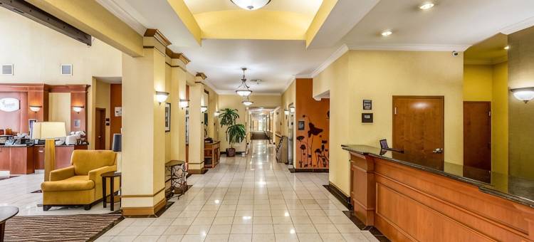 斯塔福德舒格兰舒眠套房酒店(Sleep Inn & Suites Stafford - Sugarland)图片