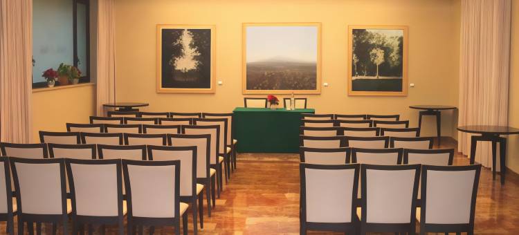 斯黛拉德意大利贝斯特韦斯特酒店(Best Western Hotel Stella DItalia)图片