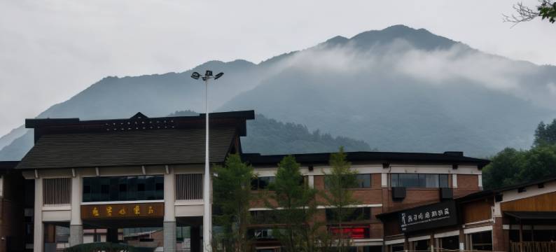 灵龟雅舍民宿图片