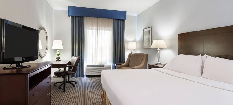 智选假日套房酒店新伊比利亚 - 艾利岛(Holiday Inn Express & Suites New Iberia-Avery Island)图片