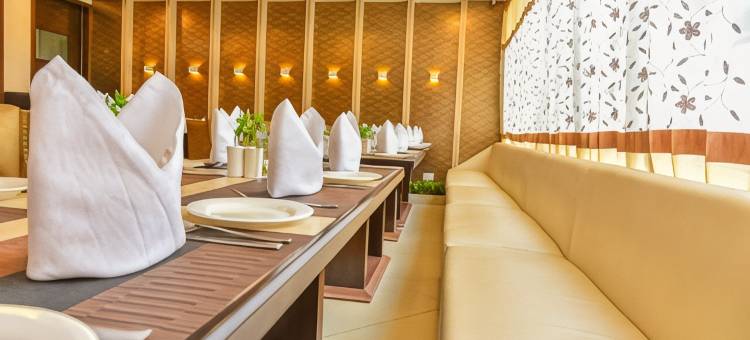 太阳城广场酒店(Hotel Suncity Plaza, Sitapura, Jaipur)图片