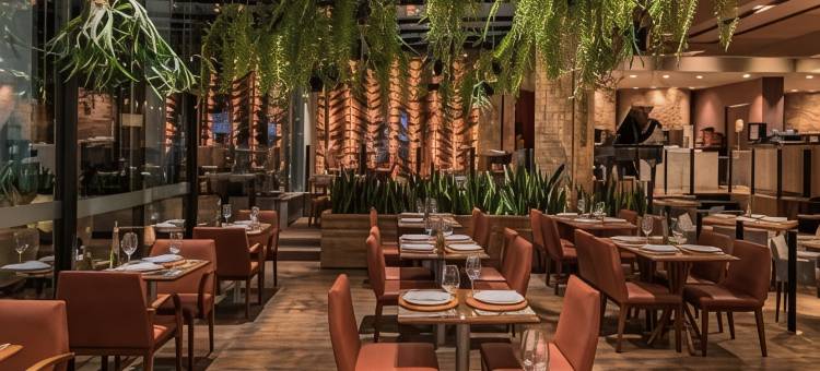 贝洛奥里藏特塞拉别墅美居酒店(Mercure Belo Horizonte Vila da Serra)图片