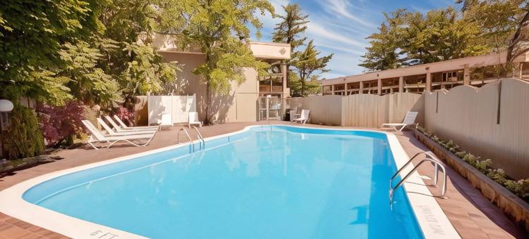 特拉弗斯城温德姆速8酒店(Super 8 by Wyndham Traverse City)图片