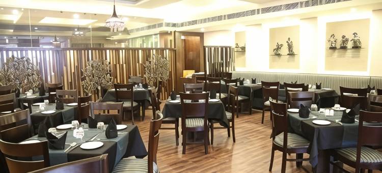 多来弗斯酒店(Hotel Dolives)图片