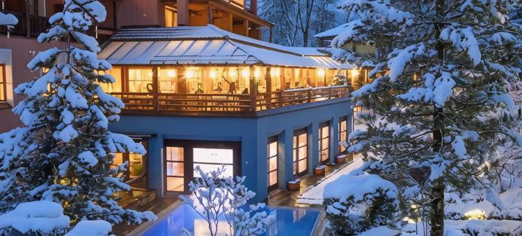 蒙塔弗纳霍夫酒店(Geniesserhotel Montafoner Hof)图片