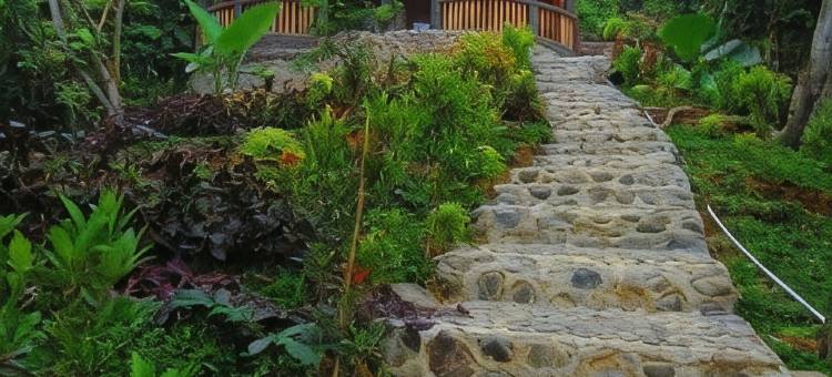 猩猩酒店(Hotel Orangutan)图片