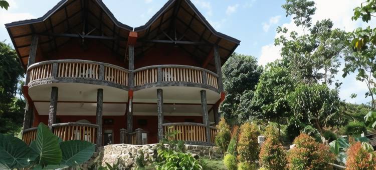 猩猩酒店(Hotel Orangutan)图片