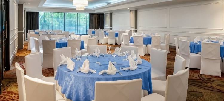 Crowne Plaza 巴拿马城(Crowne Plaza Panama)图片