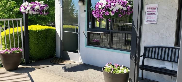 西雅图塔科马机场超值旅馆(Sea-Tac Airport Value Inn)图片