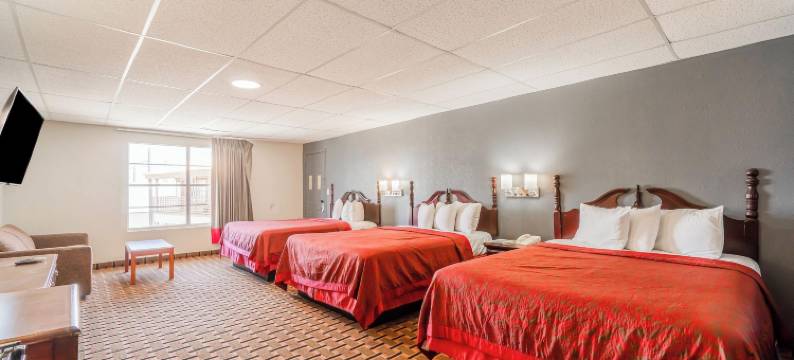 OYO 维农德州287号公路孤星旅馆(Lone Star Inn by OYO Vernon Texas Hwy 287)图片