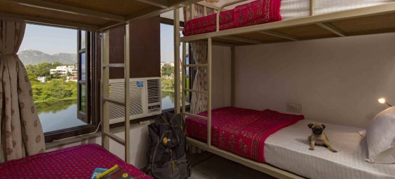 左思特酒店-乌代布尔(Zostel Udaipur)图片