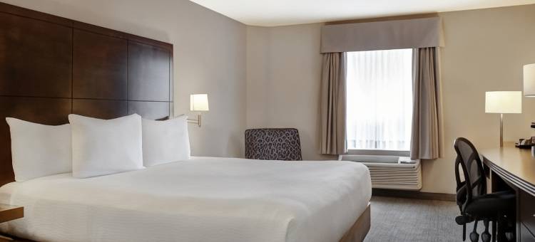 梅迪辛哈特戴斯酒店(Days Inn by Wyndham Medicine Hat)图片