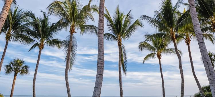 萨尼贝尔岛海滩度假村(Sanibel Island Beach Resort)图片