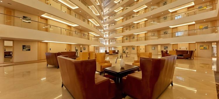 尼亚美布拉威雅酒店(Bravia Hotel Niamey)图片