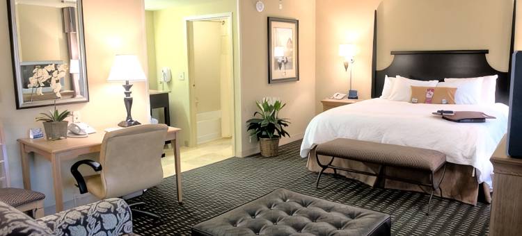 希尔顿欢朋套房酒店-莫比尔医疗中心-机场(Hampton Inn & Suites Mobile Providence Park/Airport)图片
