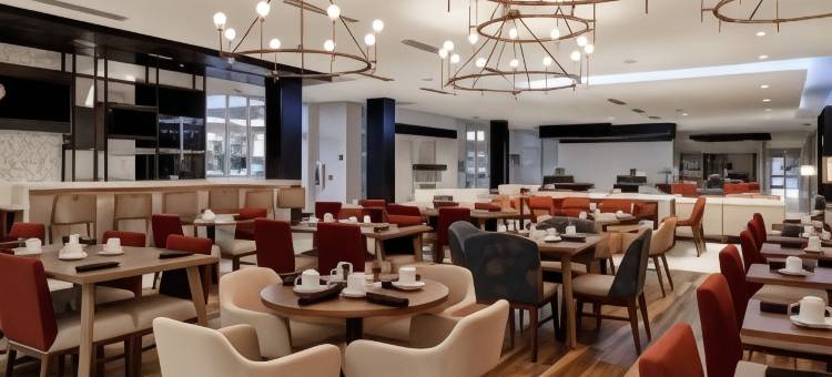 西兰辛希尔顿花园酒店(Hilton Garden Inn Lansing/West)图片