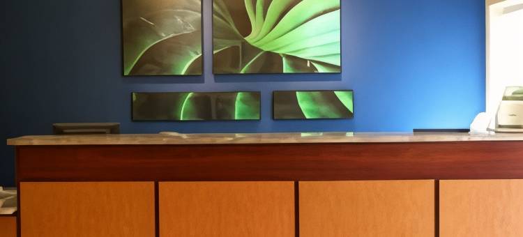 Fairfield Inn & Suites St. Petersburg Clearwater图片