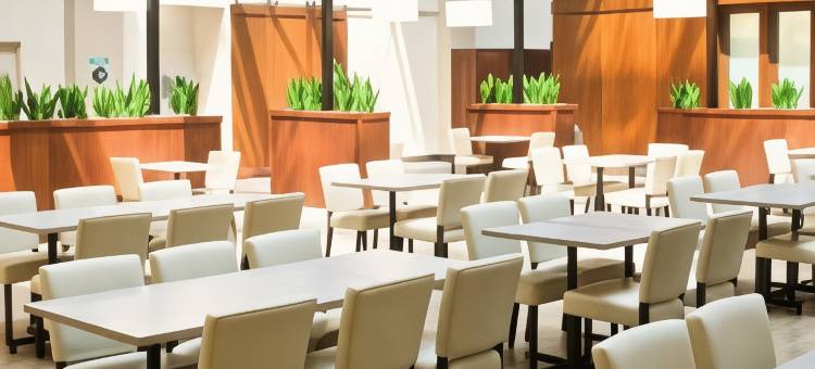 辛辛那提东北布鲁艾施希尔顿安泊套房酒店(Embassy Suites by Hilton Cincinnati Northeast Blue Ash)图片