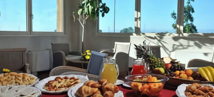 都灵西郁金香酒店(Tulip Inn Turin West)图片