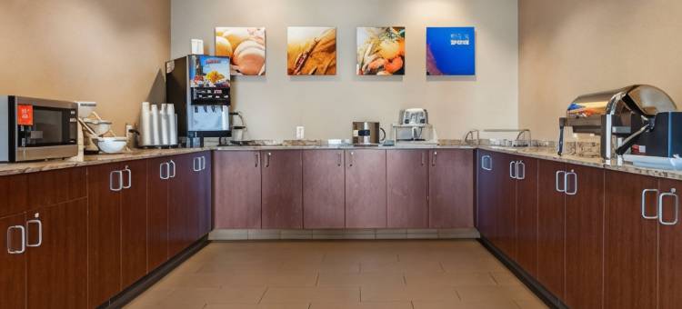 机场-大学舒适套房酒店(Comfort Suites Airport-University)图片