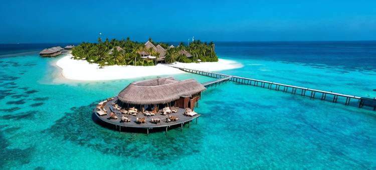 马尔代夫美憬阁米里希V别墅(V Villas Maldives at Mirihi - MGallery Collection)图片