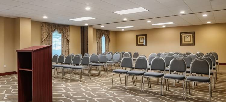 萨沃尼舒适套房酒店-秀格尔洛弗(Comfort Inn & Suites Suwanee - Sugarloaf)图片