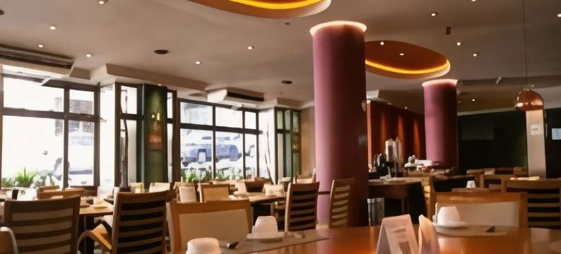 萨奥凯塔诺多索美居酒店(Mercure Sao Caetano do Sul)图片