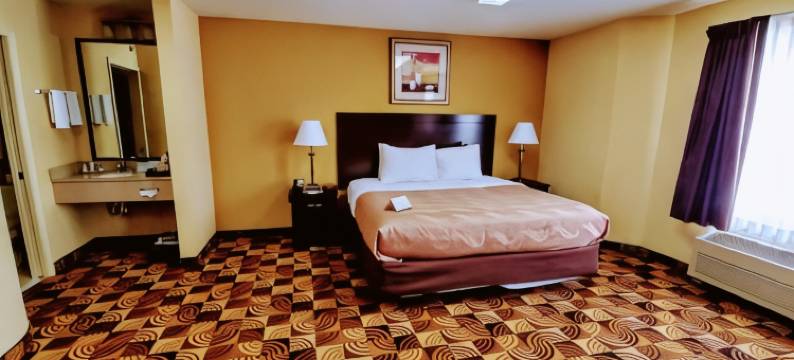 布蓝兹维克里夫兰南凯艺酒店(Quality Inn Brunswick Cleveland South)图片