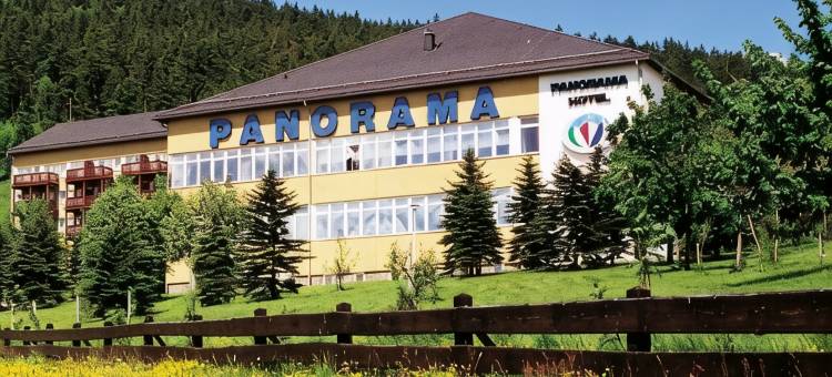 奥泊维森塔尔全景酒店(Panorama Hotel Kurort-Oberwiesenthal)图片