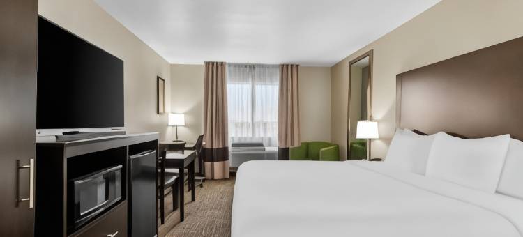 惊喜品质酒店及套房-近太阳城西(Comfort Inn & Suites Surprise Near Sun City West)图片