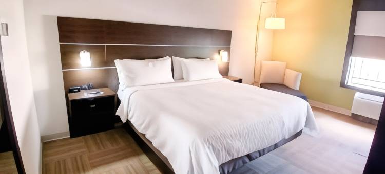 Holiday Inn Express 威尼斯(Holiday Inn Express VENICE by IHG)图片