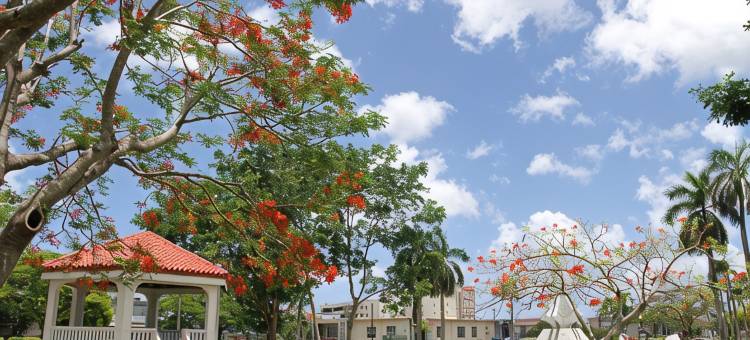 关岛机场南贝斯特韦斯特SureStay酒店(SureStay Hotel by Best Western Guam Airport South)图片