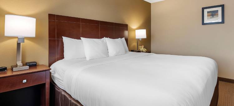 蒙特佩利尔柏林舒适套房酒店(Comfort Inn & Suites Montpelier-Berlin)图片