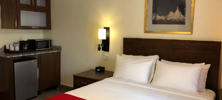 The Lodgings Hotel SureStay Collection by Best Western图片
