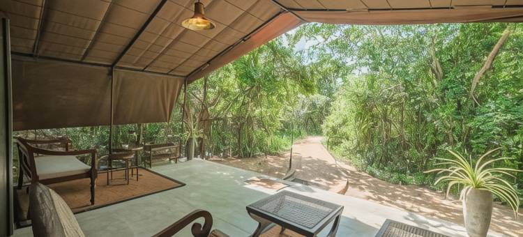 韦帕图花豹小径旅馆(Leopard Trails Wilpattu)图片
