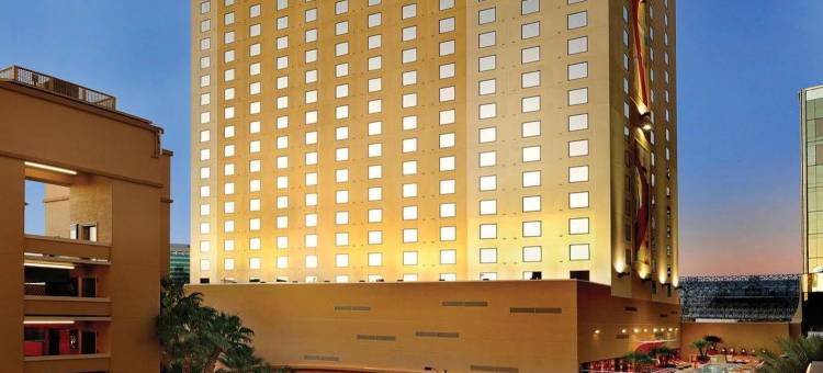 金矿 酒店(Golden Nugget Las Vegas)图片