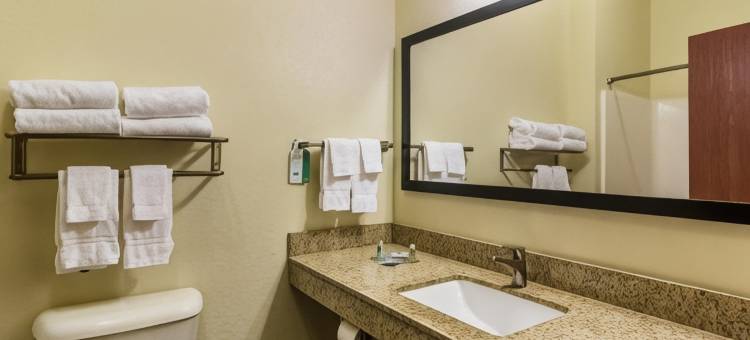 伊利鹅卵石套房酒店(Cobblestone Hotel & Suites - Erie)图片