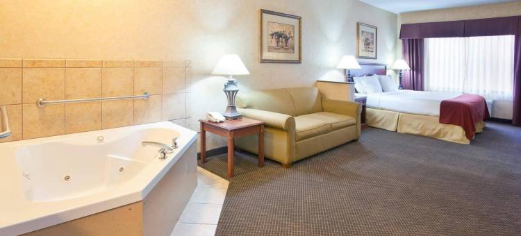 智选假日套房酒店巴斯托(Holiday Inn Express & Suites BARSTOW-OUTLET CENTER by IHG)图片