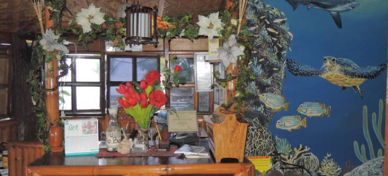 热爱海滩潜水度假村(Love's Beach and Dive Resort)图片