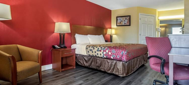 图珀洛巴恩斯克罗辛伊克诺旅馆(Econo Lodge Tupelo Barnes Crossing)图片