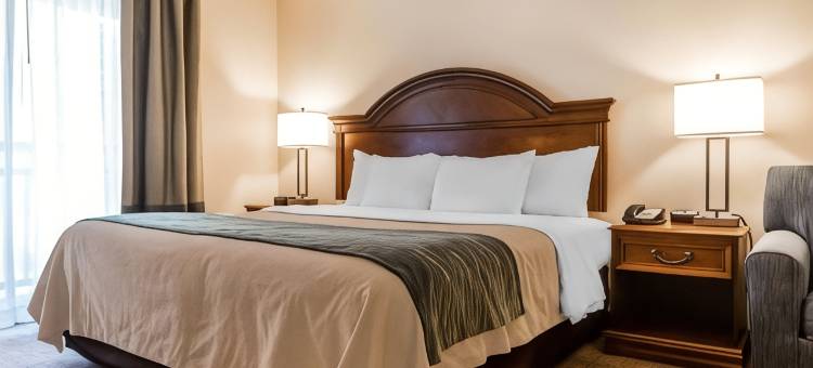伯灵顿南舒适套房酒店(Comfort Inn & Suites)图片