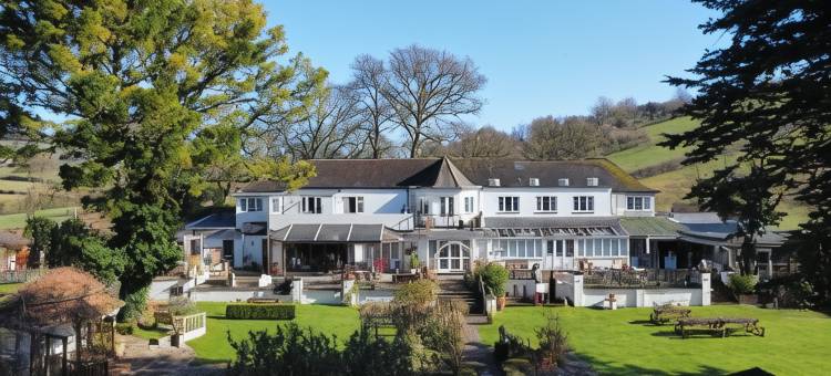 OYO 薰衣草之家酒店(OYO Lavender House Hotel)图片