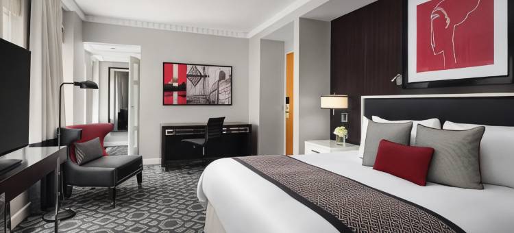 华盛顿特区拉法叶广场索菲特酒店(Sofitel Lafayette Square Washington DC)图片