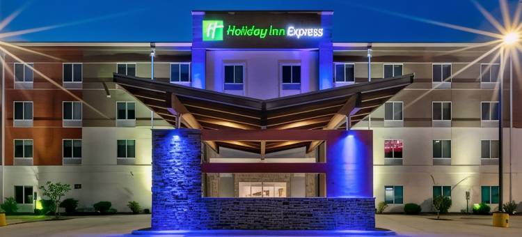 埃芬汉姆智选假日套房酒店(Holiday Inn Express & Suites Effingham)图片
