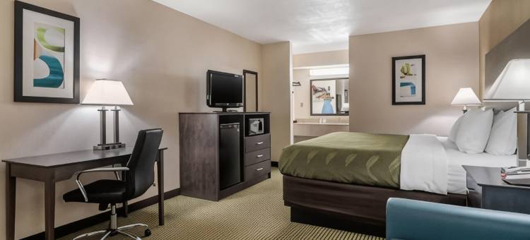 亚特兰大南麦克多纳夫凯艺酒店(Quality Inn McDonough Atlanta South)图片