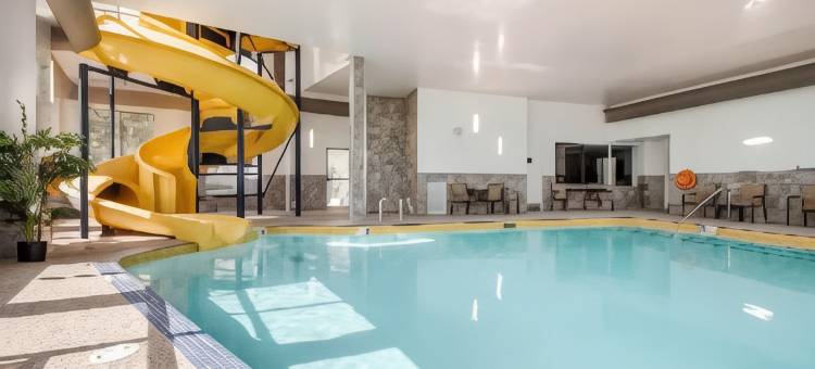 红鹿舒适套房酒店(Comfort Inn & Suites)图片